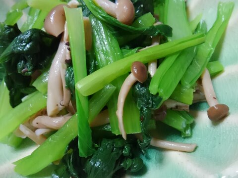 レンジで作る。小松菜しめじのナムル